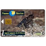 The Phonecard Shop: Spain, Fauna Iberica, Lagarto gigante de El Hierro (Gallotia simonyi), 1000 pta