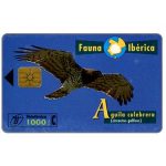 The Phonecard Shop: Spain, Fauna Iberica, Aguila culebrera (Circaetus gallicus), 1000 pta