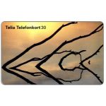 The Phonecard Shop: Sweden, Telia - Branches, 30 units The Phonecard Shop: Sweden, Telia - Branches, 30 units