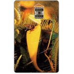 The Phonecard Shop: Madagascar, Carnivorous plant, back "Miasa ho anao", red code under line, 25 units