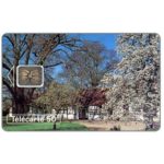 The Phonecard Shop: France, Spring, chip SC-5, 50 units The Phonecard Shop: France, Spring, chip SC-5, 50 units