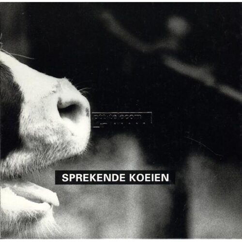 The Phonecard Shop: Netherlands, Cows series, folder with 4 phonecards