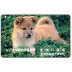 The Phonecard Shop: Japan, Light brown puppy, 50 units