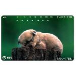 The Phonecard Shop: Japan, Brown puppy sleeping on a log, 105 units
