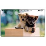 The Phonecard Shop: Japan, Two puppies into a box, 105 units