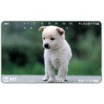 The Phonecard Shop: Japan, White puppy, 105 units