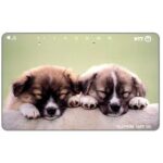 The Phonecard Shop: Japan, Two brown puppies sleeping, 105 units