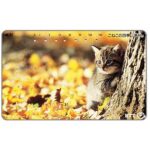 The Phonecard Shop: Japan, Kitten behind a tree, 105 units