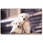 The Phonecard Shop: Japan, Two white puppies, 105 units