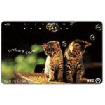 The Phonecard Shop: Japan, Kitten and presents, 105 units