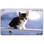 The Phonecard Shop: Japan, Kitten on a bar, 105 units