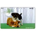 The Phonecard Shop: Japan, Two dogs, 105 units