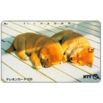 The Phonecard Shop: Japan, Two brown puppies sleeping, 105 units