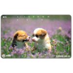 The Phonecard Shop: Japan, Two puppies in flower field, 105 units The Phonecard Shop: Japan, Two puppies in flower field, 105 units