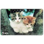 The Phonecard Shop: Japan, Two kittens on a tree, 105 units The Phonecard Shop: Japan, Two kittens on a tree, 105 units