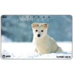 The Phonecard Shop: Japan, White puppy in the snow, 105 units The Phonecard Shop: Japan, White puppy in the snow, 105 units