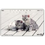 The Phonecard Shop: Japan, Two kittens and a rabbit, 105 units The Phonecard Shop: Japan, Two kittens and a rabbit, 105 units