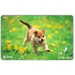 The Phonecard Shop: Japan, Puppy running, 105 units The Phonecard Shop: Japan, Puppy running, 105 units