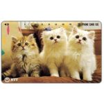 The Phonecard Shop: Japan, Three kittens, 105 units The Phonecard Shop: Japan, Three kittens, 105 units