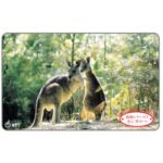 The Phonecard Shop: Japan, Kangaroos, 105 units The Phonecard Shop: Japan, Kangaroos, 105 units
