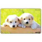 The Phonecard Shop: Japan, Two white puppies, 50 units The Phonecard Shop: Japan, Two white puppies, 50 units