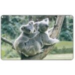 The Phonecard Shop: Japan, Koalas, 105 units The Phonecard Shop: Japan, Koalas, 105 units