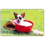 The Phonecard Shop: Japan, Puppy in a baseball cap, 105 units The Phonecard Shop: Japan, Puppy in a baseball cap, 105 units