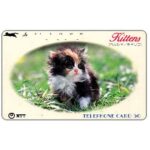 The Phonecard Shop: Japan, Kitten in a field, 50 units The Phonecard Shop: Japan, Kitten in a field, 50 units