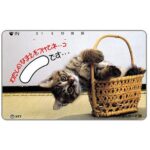 The Phonecard Shop: Japan, Kitten in a basket, 50 units The Phonecard Shop: Japan, Kitten in a basket, 50 units