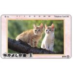 The Phonecard Shop: Japan, Two cats on a log, 105 units The Phonecard Shop: Japan, Two cats on a log, 105 units