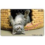 The Phonecard Shop: Japan, Kitten in a basket, 50 units The Phonecard Shop: Japan, Kitten in a basket, 50 units