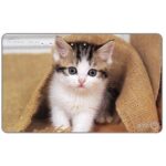 The Phonecard Shop: Japan, Kitten in a sack, 50 units The Phonecard Shop: Japan, Kitten in a sack, 50 units