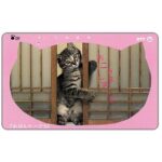 The Phonecard Shop: Japan, Grey kitten standing, 50 units The Phonecard Shop: Japan, Grey kitten standing, 50 units
