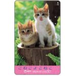 The Phonecard Shop: Japan, Two kittens on a log, 50 units The Phonecard Shop: Japan, Two kittens on a log, 50 units