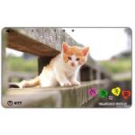The Phonecard Shop: Japan, Kitten on a fence, 50 units The Phonecard Shop: Japan, Kitten on a fence, 50 units