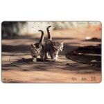 The Phonecard Shop: Japan, Two kittens on the road, 105 units The Phonecard Shop: Japan, Two kittens on the road, 105 units