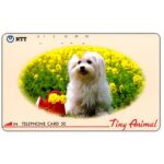 The Phonecard Shop: Japan, Tiny animal, 50 units The Phonecard Shop: Japan, Tiny animal, 50 units