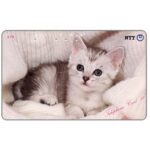 The Phonecard Shop: Japan, Kitten in the wool, 50 units The Phonecard Shop: Japan, Kitten in the wool, 50 units