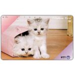 The Phonecard Shop: Japan, Two kittens into a paper bag, 50 units The Phonecard Shop: Japan, Two kittens into a paper bag, 50 units