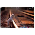 The Phonecard Shop: Japan, Puppy on the train tracks, 50 units The Phonecard Shop: Japan, Puppy on the train tracks, 50 units