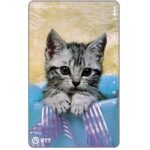 The Phonecard Shop: Japan, Grey kitten, 105 units The Phonecard Shop: Japan, Grey kitten, 105 units