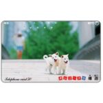 The Phonecard Shop: Japan, Two white puppies, 50 units The Phonecard Shop: Japan, Two white puppies, 50 units