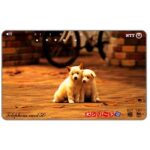 The Phonecard Shop: Japan, Two white puppies, 50 units The Phonecard Shop: Japan, Two white puppies, 50 units