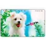 The Phonecard Shop: Japan, White puppy, 50 units The Phonecard Shop: Japan, White puppy, 50 units