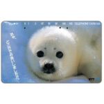 The Phonecard Shop: Japan, Seal pup, 105 units The Phonecard Shop: Japan, Seal pup, 105 units