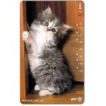 The Phonecard Shop: Japan, Grey kitten standing, 105 units The Phonecard Shop: Japan, Grey kitten standing, 105 units