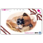 The Phonecard Shop: Japan, Brown puppy sleeping, 50 units The Phonecard Shop: Japan, Brown puppy sleeping, 50 units