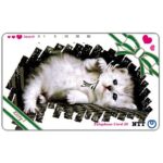 The Phonecard Shop: Japan, Grey kitten, 50 units The Phonecard Shop: Japan, Grey kitten, 50 units