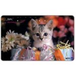 The Phonecard Shop: Japan, Kitten and presents, 105 units The Phonecard Shop: Japan, Kitten and presents, 105 units