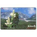 The Phonecard Shop: Japan, White Hellebore - Flower of Tateyama, 50 units The Phonecard Shop: Japan, White Hellebore - Flower of Tateyama, 50 units